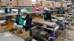 COEXPHAL coronavirus Distancias y medidas de seguridad en almacén de CASI
