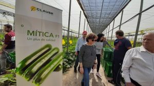 clause jornada mitica calabacin