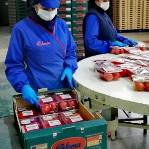 grupo paloma trabajadores
