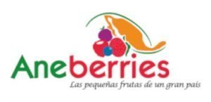 Aneberries