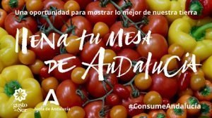 CAMPAÑA_JUNTA_llena_tu_mesa