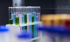 algaenergy laboratorio