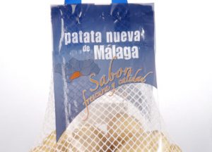 Ibérica