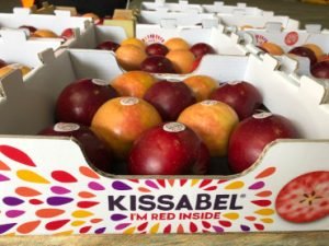 Kissabel