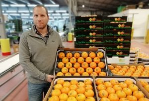 mandarina orri israel