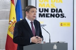 planas consejo ministros