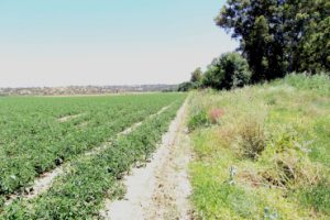 biodiversidad