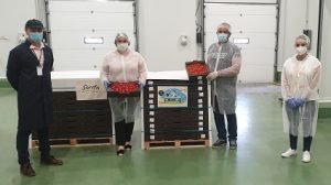 looije Donaciones tomate covid