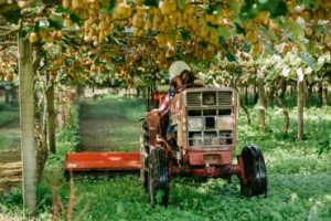 Zespri
