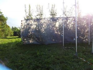 Arrigoni_Anti Deriva Grey_anti drift net