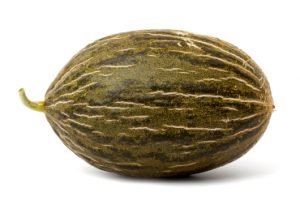 rijk zwaan melon