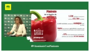 Fitó Pimiento WEBINAR