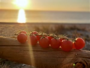 KEOPS - USAR SOLO PARA ELLOS agricultura ecologica