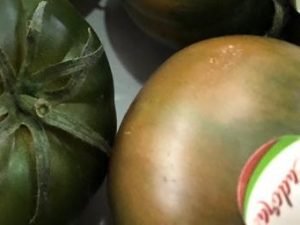 tomate adora