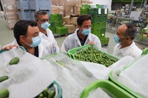 Visita Cohorsan unica