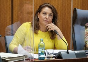 Crespo comisión Parlamento