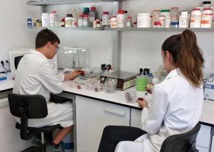 IFAPA Investigadores fresa
