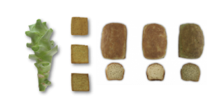 Pan-brocoli IRTA