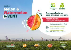 rijk zwaan melon watermelon event 2020