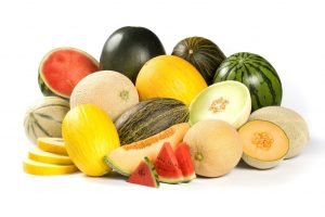 melon y sandia rijk zwaan global event 2020