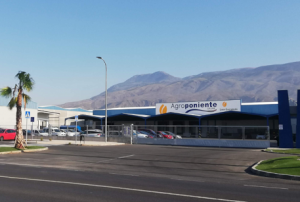 agroponiente el ejido nave-nueva