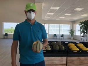 rijk zwaan global event melon ready to eat