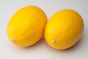 melon Piel de Sol
