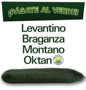 GreenCumbersenza zaden pepino