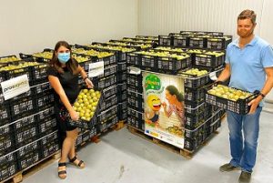 Banco de Alimentos murcia Programa de Fruta Escolar