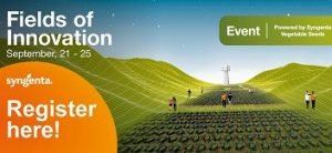 syngenta fields of innovation