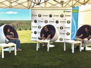 syngenta taegro