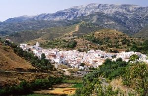 wao axarquia malagueña