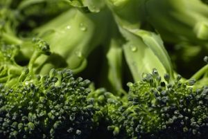brócoli +brócoli