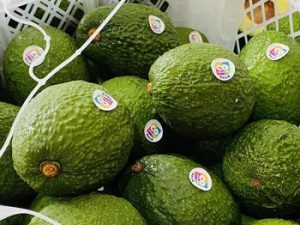 aguacate exportaciones-colombianas-de-palta-hass-crecerian-en-volumen-22913