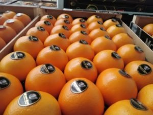 exportación de cítricos hispalco