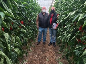 agrotip jornada lupion y rodriguez