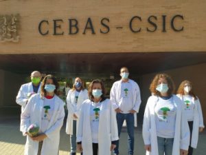 cebasc