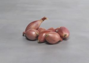 bejo innovator cebolla