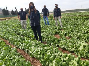 VILMORIN equipo-lechuga-Murcia