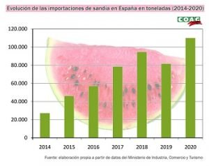 COAG gráfica importación sandía