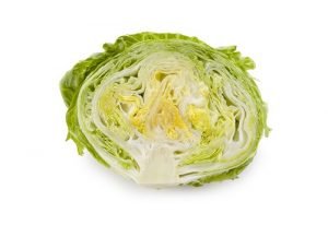 RIJK ZWAAN LECHUGA Knox Iceberg 45-179 Corianas RZ
