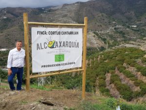 alcoaxarquia