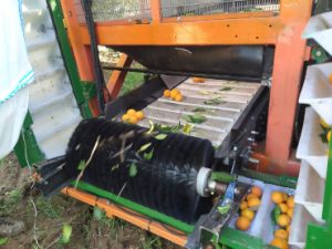 citrustech