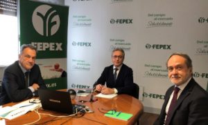 fepex