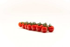 Top Seeds