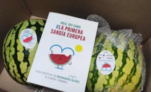 Envíos con Sandi La Primera Sandía Europea Coexphal