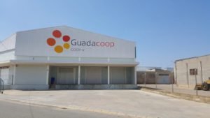 Guadacoop