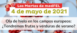 MedFEL