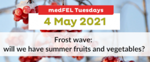 medFEL en