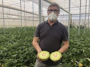 Rijk Zwaan melón galia Ready to eat Alberto Domingo_low